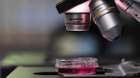 Theolytics Awarded Significant £2M Transforming Cancer Therapeutics Grant from Innovate UK