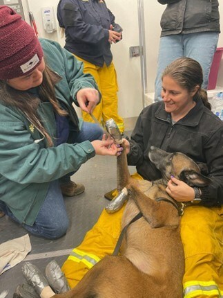 NAVC Gives Awards $10,000 to Texas A&M Veterinary Emergency Response Team for Smokehouse Creek Fire Response