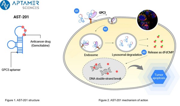 Aptamer Sciences Inc. Files IND Application for Innovative Liver Cancer Treatment AST-201: A Promising Approach to Address Under Medical Needs