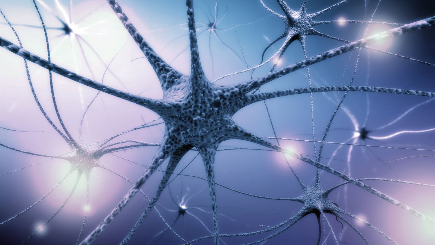 Myrobalan Therapeutics secures funding for CNS drug development