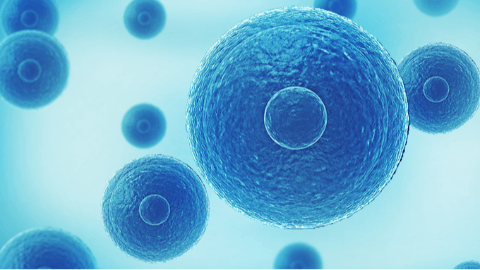 Publication of Preclinical Data in Science Signaling Demonstrated the Potential of ITK Inhibition with Soquelitinib as a Novel Approach to Treatment of Inflammatory Diseases