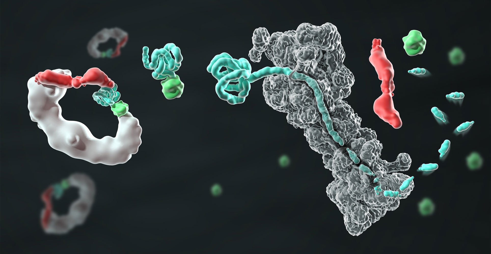 Amphista demonstrates protein degraders’ ‘rapid’ efficacy against tumor, CNS targets in animals