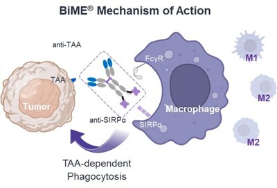 Elpiscience and Astellas Enter into Research Collaboration and License Agreement for Novel Bispecific Macrophage Engager