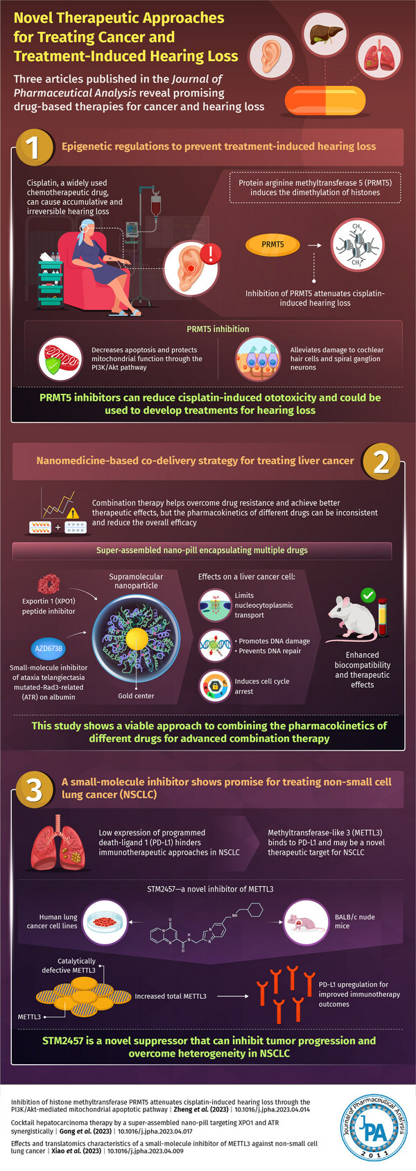 New Journal of Pharmaceutical Analysis Articles Showcase Promising Therapeutic Candidates for Treating Cancer and Hearing Loss