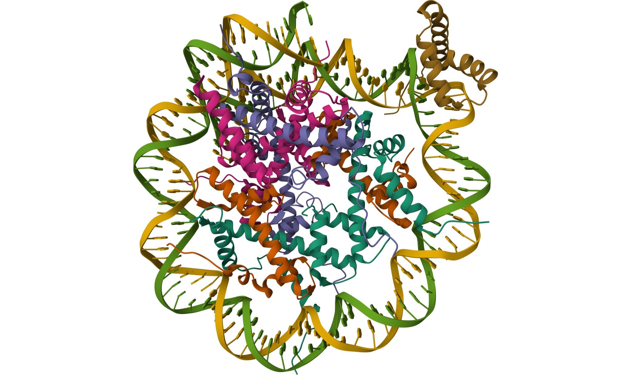 Talus Bio tacks on $11M to target hard-to-reach transcription factors