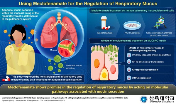 Sahmyook University Study Repurposes Meclofenamate to Treat Abnormal Respiratory Mucus