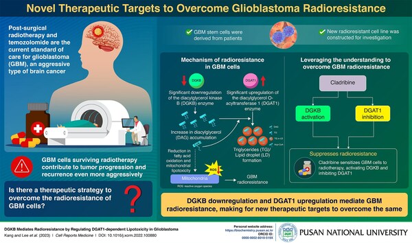 Pusan National University Researchers Identify Therapeutic Targets to Overcome Radioresistance of Brain Cancer Cells