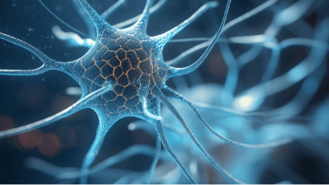 Spur Therapeutics Presents Promising New Data from its GBA1 Parkinson’s Disease Research Program