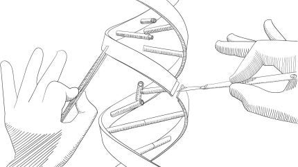 BMS and Prime ink potential $3.5bn deal to develop T cell therapies