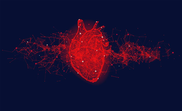 Elucid collects $80M for AI-powered mapping of blocked arteries
