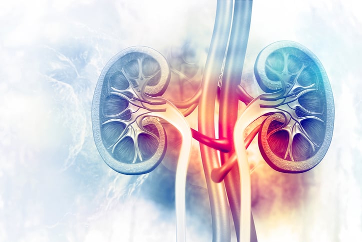 Alloksys fails to stop kidney injury in heart surgery patients, but subgroup spurs phase 3 plans