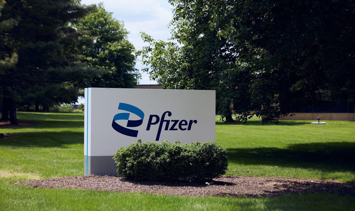 EC approves Pfizer’s Talzenna combo for prostate cancer treatment