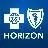 Horizon Healthcare Services, Inc.